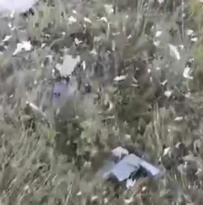 Prizogzhins plane &ldquo;Crashes&rdquo;