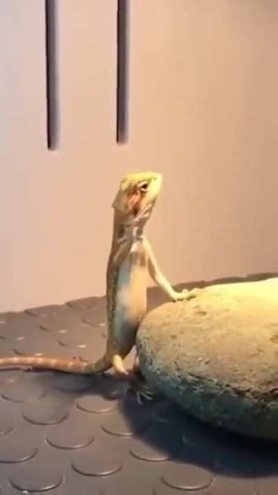 When she say "slap my ass" but your mom raised a gentleman.
