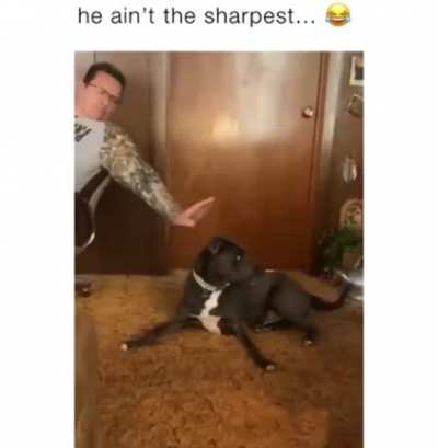 Who... Where... How?