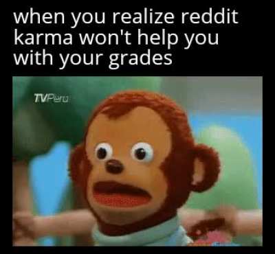 reality hits hard