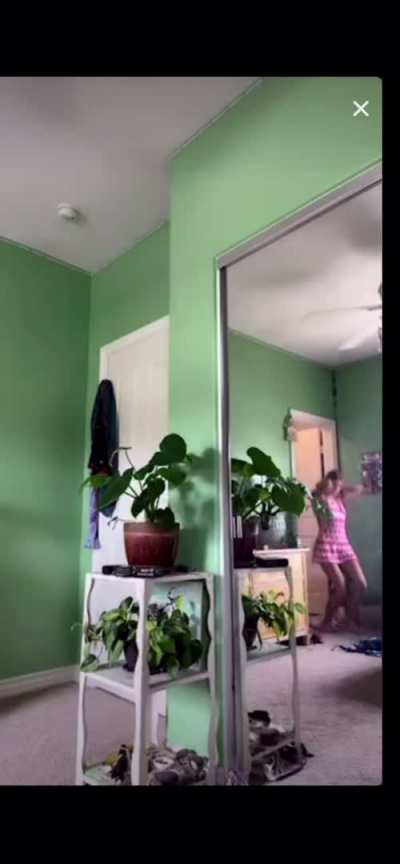 Mirror slip