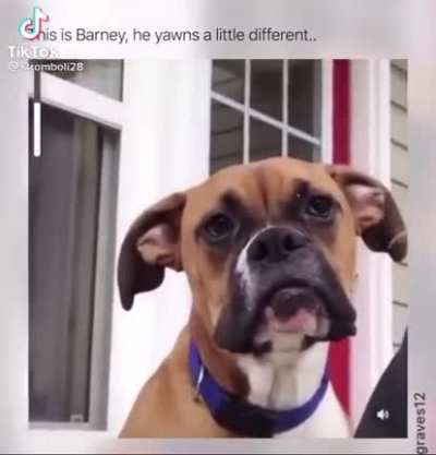 Perfectly cut yawn