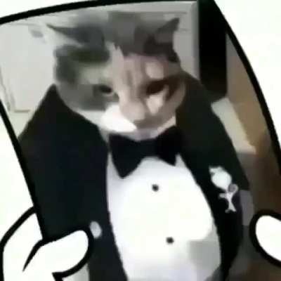 :0