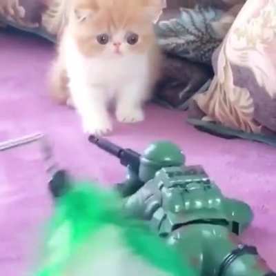 Those terrified eyes