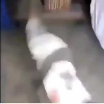 Afrikalı nibba kabilesinin 4 yıllık yemeğini dökünce köyden atılıyor oynat bakalım