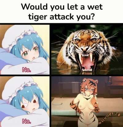 I happily submit