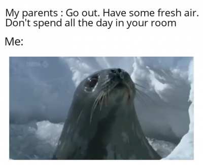 me_irl