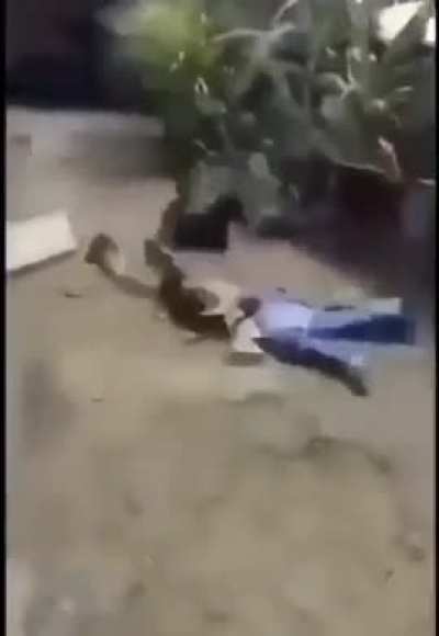 Noluyor orda amk