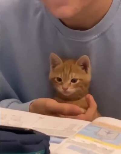 Braincell training