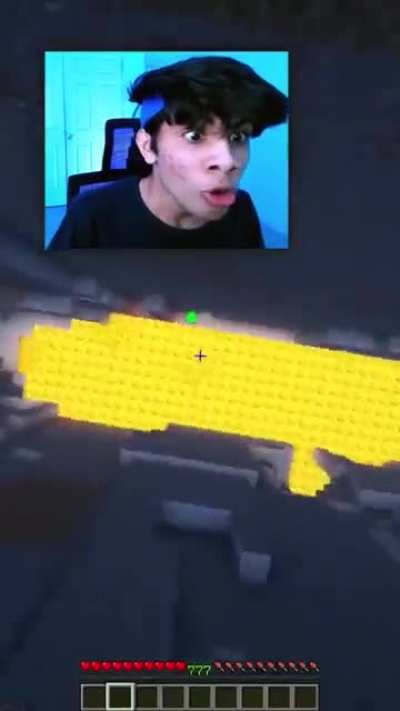 Sus