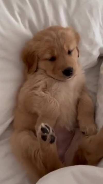 Time for cuddles and sleeps