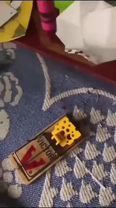 Testing a trap