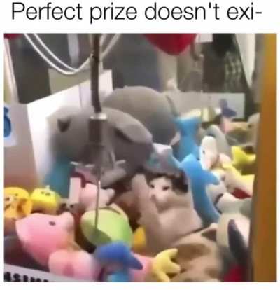 Originally found in r/memes posted by u/MichalTrue, felt it also fit here.