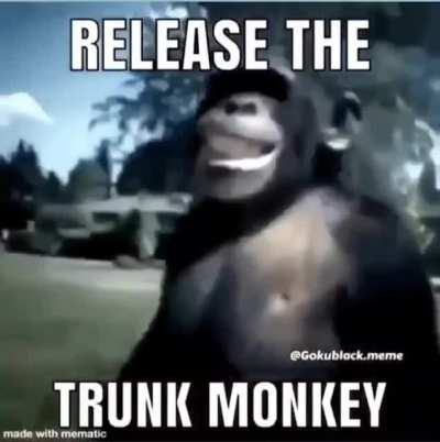 JAJA MONKEY