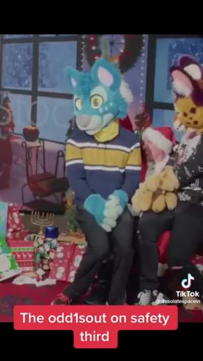 furry🎄irl