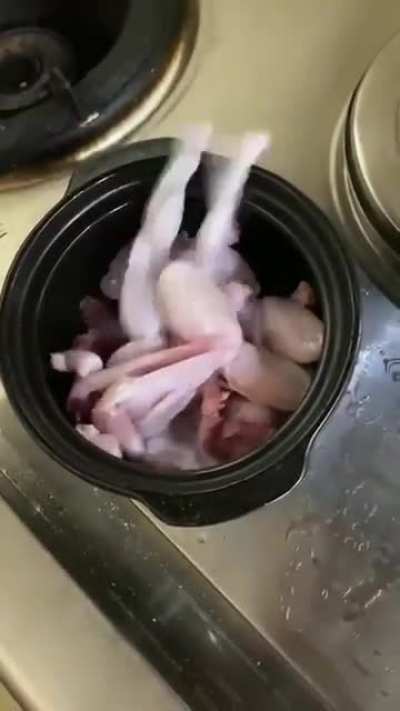 Dinner is served