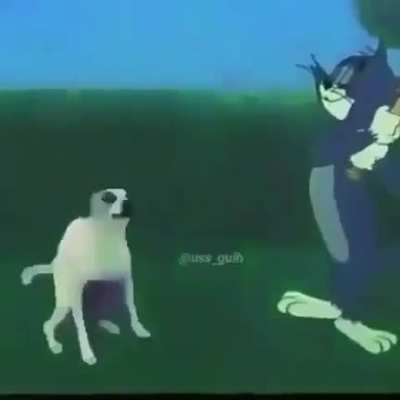 Mogus