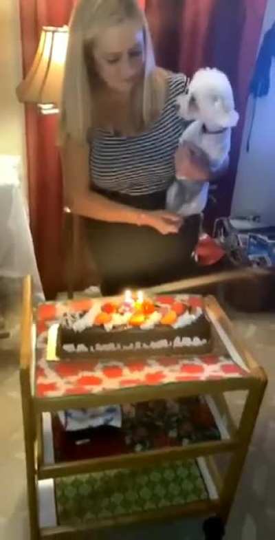well, it's its birthday 🤷🏻&zwj;♂️