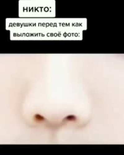 Гайд как отфотошопить кота