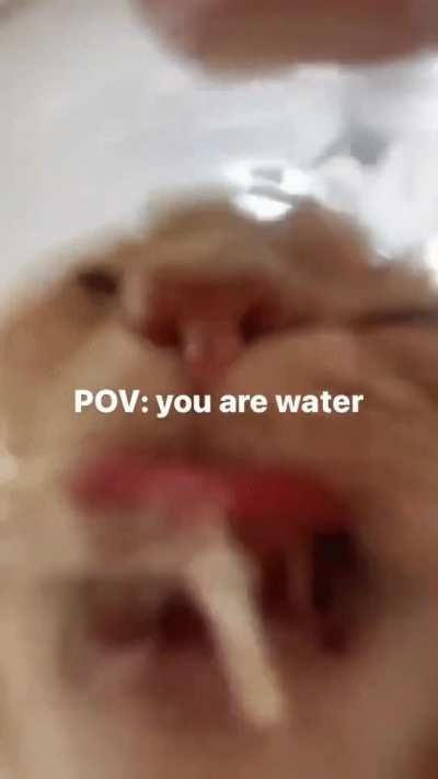 Please lick me