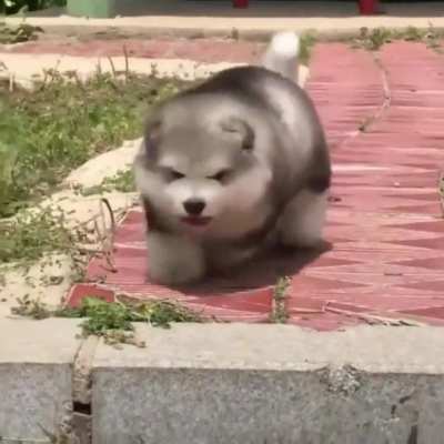 I runs &amp;amp; runs.... oh shitttttt