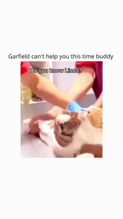 Linda you snitching bitch
