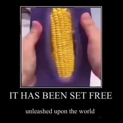 corn