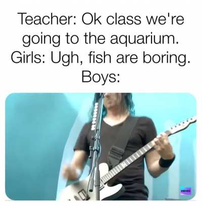 I can't wait to see the whales!