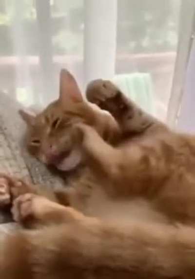 Ha