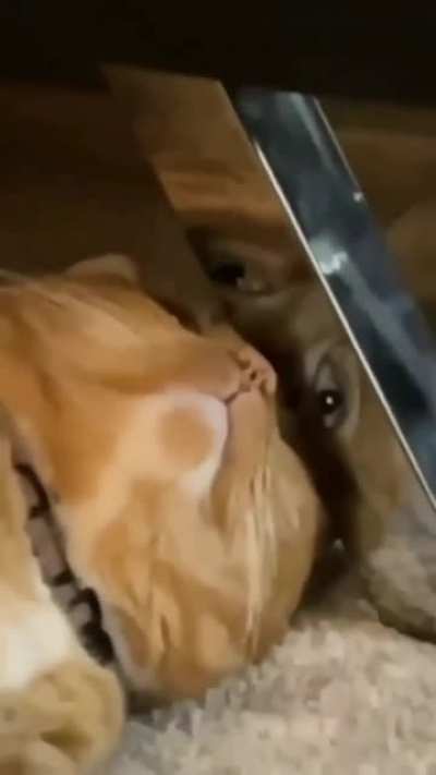 Those eyes tho :P