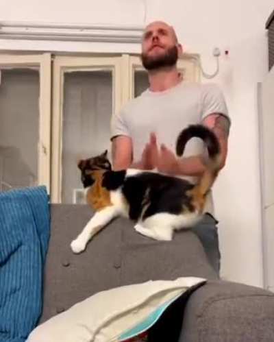 pSyCHOPaTh CHops cAT Into TINy PieCes