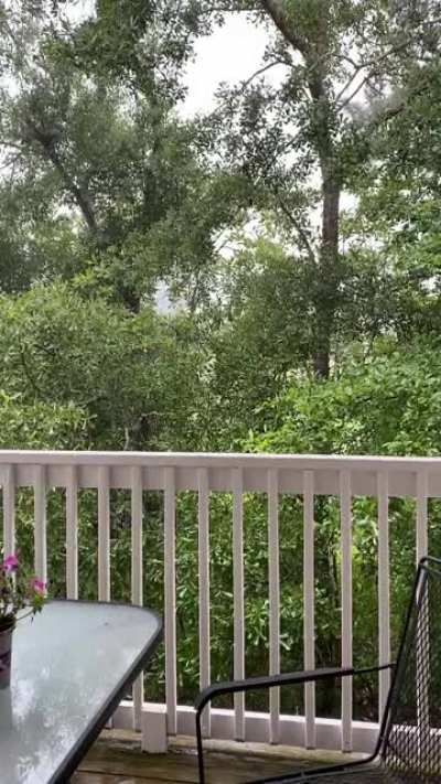 It&rsquo;s been raining a lot here in Wilmington, NC.