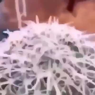 Hmmmmmmmmmm