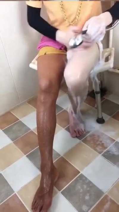 mufinha quando a live acaba