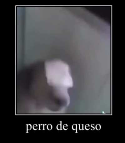 cheesedog