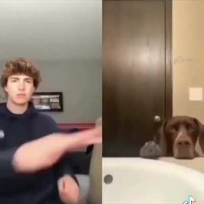 Cursed_punch 