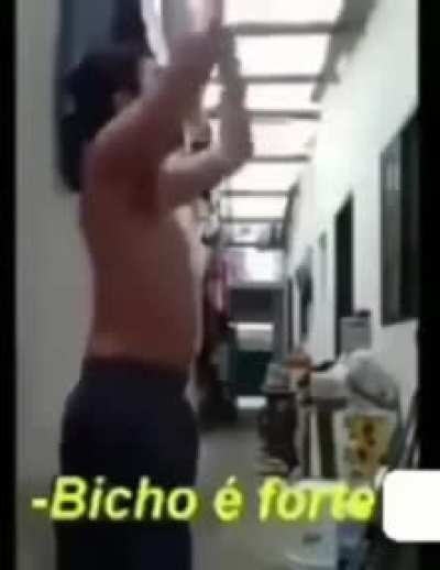 Video Aletorio 😔👌