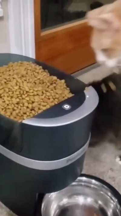 Nooooo !!!