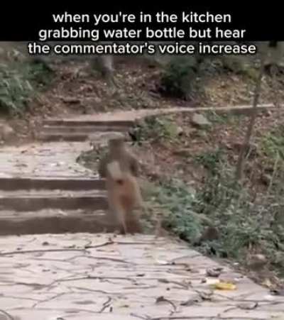 Every damn time