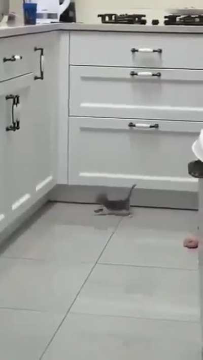 Ambition