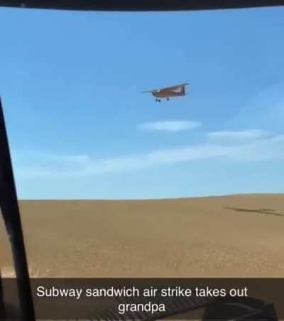 subway sandwich takes out grandpa