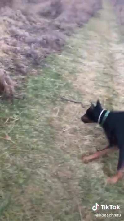 Weeeeeee