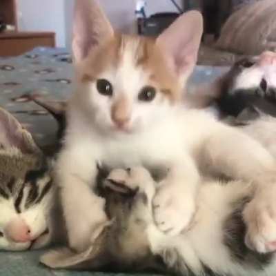 Baby kisses