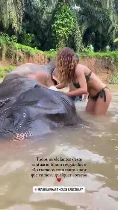 Joana Teles