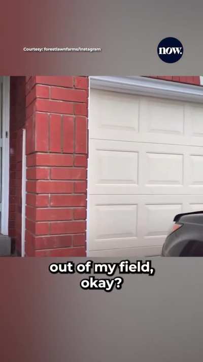 An Ontario farmer tracked down a Brampton family who allegedly dumped garbage on his farmland by using an address from a package left behind — and returned it straight to their driveway.