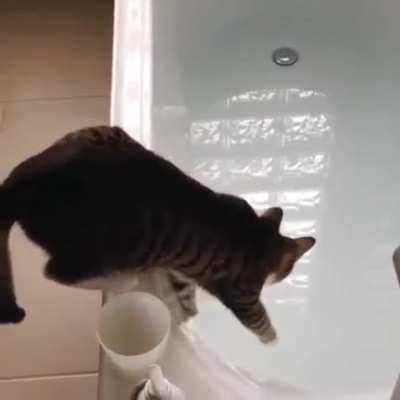 "Oh shit, water!"