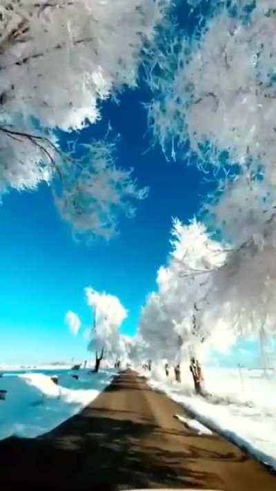 🔥 Winter in Spain