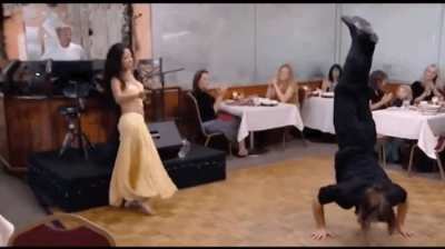 Gordon Ramsay reacts to Greek dancing