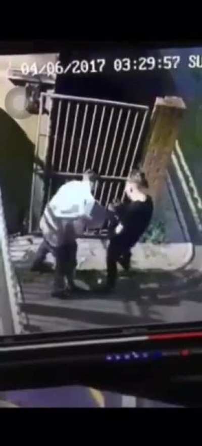 No... esos no son los ladrones pira&ntilde;a 🤔