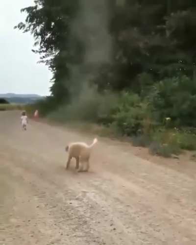 Дурко